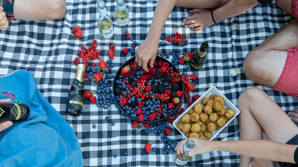 Rimuss Bianco Dry Piccolo beim Picknick Apero am See zum Spätsommerabend mit Erdbeeren, Brombeeren, Himbeeren, Heidelbeeren und Falaffel